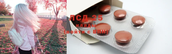 стафф Волоколамск