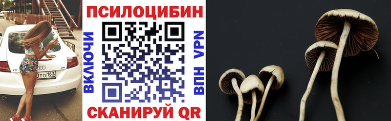 Псилоцибиновые грибы Psilocybine cubensis  Купить  Талица 